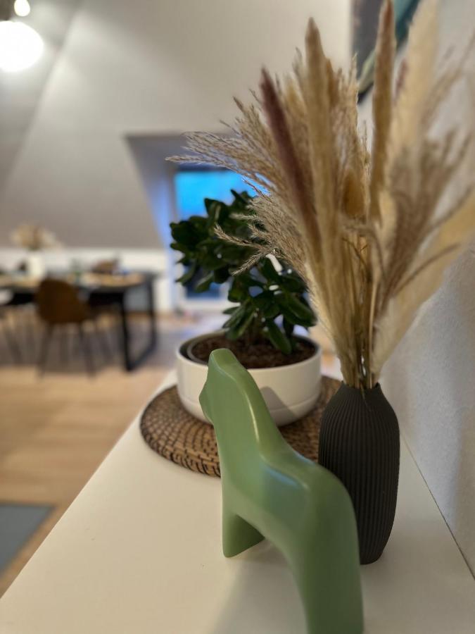 Oasis Appart - Wohnen Am Elbtal - Balkon - Netflix - Tiefgarage Dresde Exterior foto
