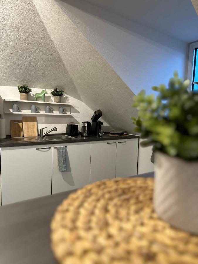 Oasis Appart - Wohnen Am Elbtal - Balkon - Netflix - Tiefgarage Dresde Exterior foto