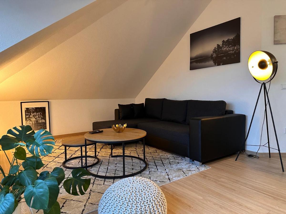 Oasis Appart - Wohnen Am Elbtal - Balkon - Netflix - Tiefgarage Dresde Exterior foto