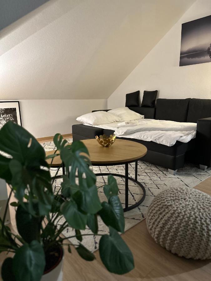 Oasis Appart - Wohnen Am Elbtal - Balkon - Netflix - Tiefgarage Dresde Exterior foto